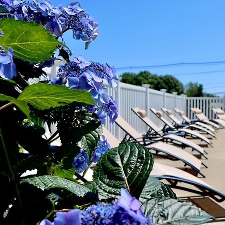 Sea View Motel Оганкит Экстерьер фото
